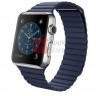 apple-watch-kozha-magnit-blue42.jpg