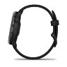 Умные часы Garmin Vivoactive 6 Slate, Black Band