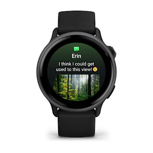 Умные часы Garmin Vivoactive 6 Slate, Black Band