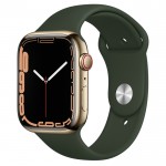Apple Watch Series 7 45 мм, стальные золотого цвета, спортивный ремешок «Кипрский зелёный»