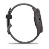 Умные часы Garmin Vivoactive 6 Slate, Pebble Gray Band