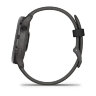 Умные часы Garmin Vivoactive 6 Slate, Pebble Gray Band
