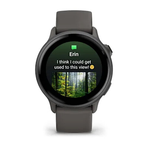 Умные часы Garmin Vivoactive 6 Slate, Pebble Gray Band