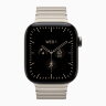 Apple Watch Series 12 46mm Natural Titanium Case with Natural Link Bracelet