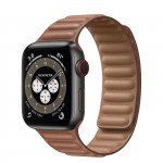 Apple Watch Edition Series 6 Titanium Space Black 40mm, коричневый кожаный ремешок