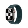 Apple Braided Solo Loop 45mm для Apple Watch - Rainforest