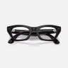 Ray-Ban Meta Gen 3 Zena Transitions (черный глянцевый / зеленый фотохром)