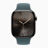 Apple Watch Series 10 42mm, Slate Titanium Case with Sport Band - Lake Green