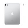 iPad Pro 11 M4 (2024) 512GB Wi-Fi + Cellular Silver (Серебристый)
