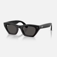 Ray-Ban Meta Gen 3 Zena (черный / серые)