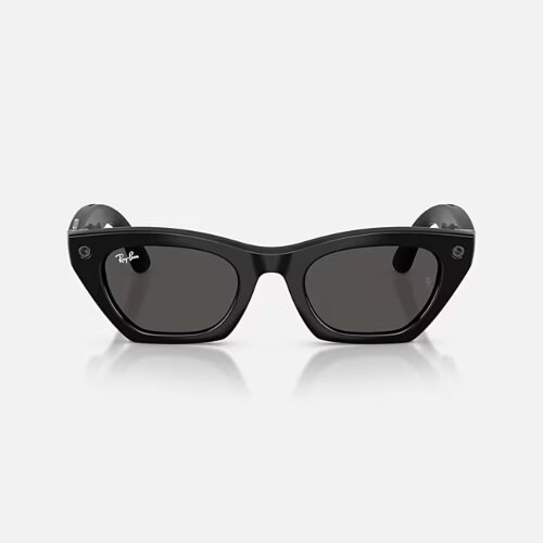 Ray-Ban Meta Gen 3 Zena (черный / серые)