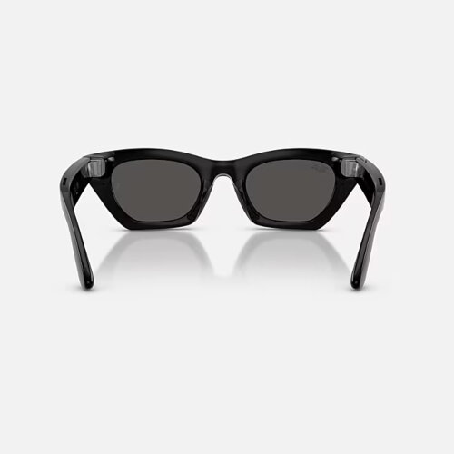 Ray-Ban Meta Gen 3 Zena (черный / серые)