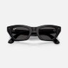 Ray-Ban Meta Gen 3 Zena (черный / серые)