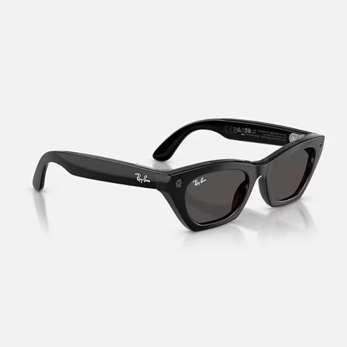 Ray-Ban Meta Gen 3 Zena (черный / серые)