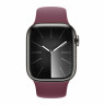 Apple Watch Series 9 41mm, Graphite Stainless Steel Case with Sport Band - Mulberry