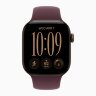 Apple Watch Series 12 42mm, Dark Bronze Aluminum Case with Sport Band - Burgundy
