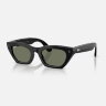 Ray-Ban Meta Gen 3 Zena (черный / поляризационные зеленые)