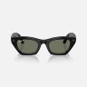 Ray-Ban Meta Gen 3 Zena (черный / поляризационные зеленые)