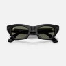 Ray-Ban Meta Gen 3 Zena (черный / поляризационные зеленые)