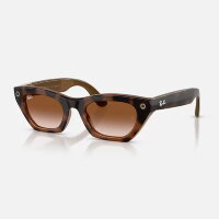 Ray-Ban Meta Gen 3 Zena (Havana / градиент коричневый)
