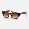 Ray-Ban Meta Gen 3 Zena (Havana / градиент коричневый)