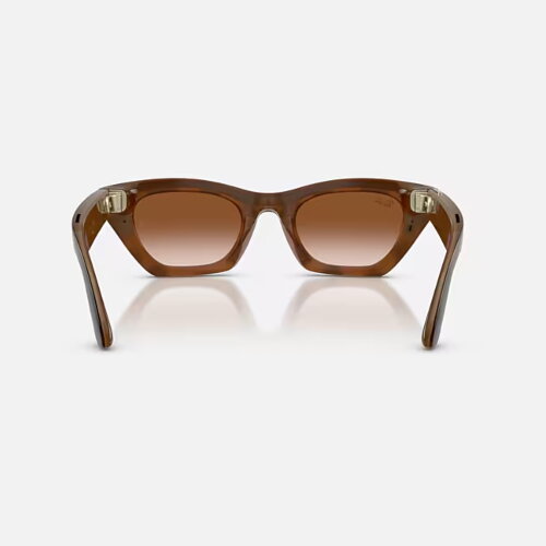 Ray-Ban Meta Gen 3 Zena (Havana / градиент коричневый)
