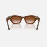Ray-Ban Meta Gen 3 Zena (Havana / градиент коричневый)
