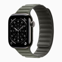 Apple Watch Series 11 46mm, Slate Titanium Case with Magnetic Link - Sage Gray