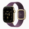 Apple Watch Series 12 42mm, Radiant Gold Titanium Case with Modern Buckle - Mulberry