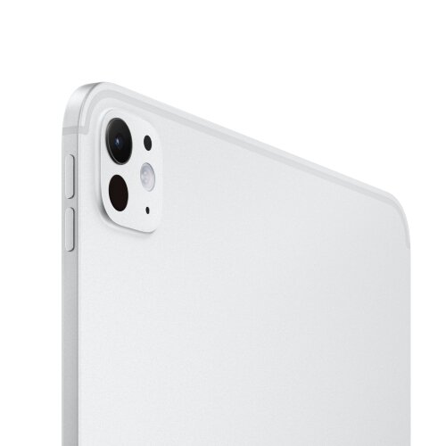 iPad Pro 11 M4 (2024) 256GB Wi-Fi + Cellular Silver (Серебристый)