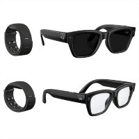 Meta Ray-Ban Display Transitions (черный полированный /  серый фотохром)