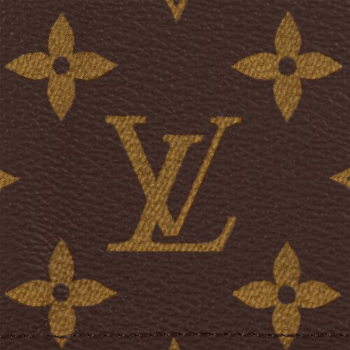 Обложка для паспорта Louis Vuitton Monogram Canva