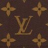 Обложка для паспорта Louis Vuitton Monogram Canva