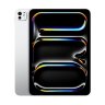 iPad Pro 13 M4 (2024) 256 GB Wi-Fi + Cellular Silver (Серебристый)