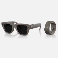Meta Ray-Ban Display Transitions (песочный полированный /  серый фотохром)
