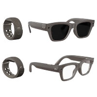Meta Ray-Ban Display Transitions (песочный полированный /  серый фотохром)