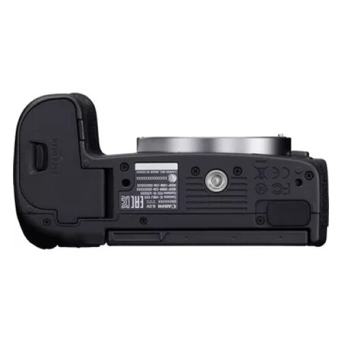 Canon EOS R Body + RF 24-105mm F4-7.1 IS STM Lens