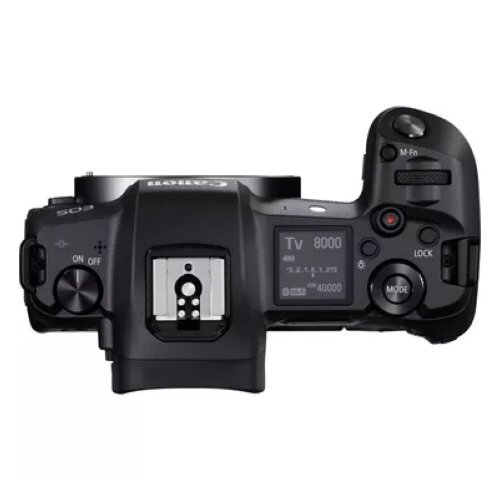 Canon EOS R Body + RF 24-105mm F4-7.1 IS STM Lens