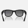 Ray-Ban Meta Gen 2 Wayfarer (матовая черная оправа, линзы графитовые, Polarized) L