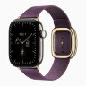 Apple Watch Series 12 42mm, Natural Titanium Case with Modern Buckle - Mulberry