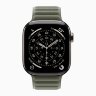 Apple Watch Series 11 46mm, Natural Titanium Case with Magnetic Link - Sage Gray