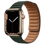 Apple Watch Series 7 45 мм, золотая нержавеющая сталь, браслет из кожи «Зелёная секвойя»