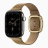 Apple Watch Series 12 42mm, Natural Titanium Case with Modern Buckle - Camel