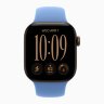 Apple Watch Series 12 46mm, Dark Bronze Aluminum Case with Sport Band - Wildflower Blue