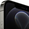 iPhone 12 Pro Max 256 ГБ Графитовый (MGDC3RU/A)