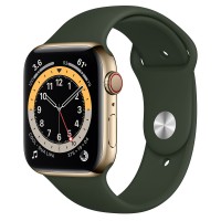 Apple Watch series 6, 44 мм, золотая сталь, зеленый спортивный ремешок