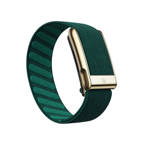 Ремешок для фитнес-браслета WHOOP Your Way MG Gold, Band SuperKnit Emerald