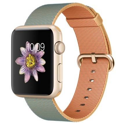 Apple Watch 42mm with Plaited Nylon Gold Blue 42 MMFQ2