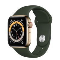 Apple Watch series 6, 40 мм, золотая сталь, зеленый спортивный ремешок