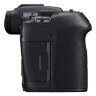 Canon EOS R7 Mirrorless Camera + RF-S 18-150mm F3.5-6.3 IS STM Lens + Mount Adapter EF-EOS R